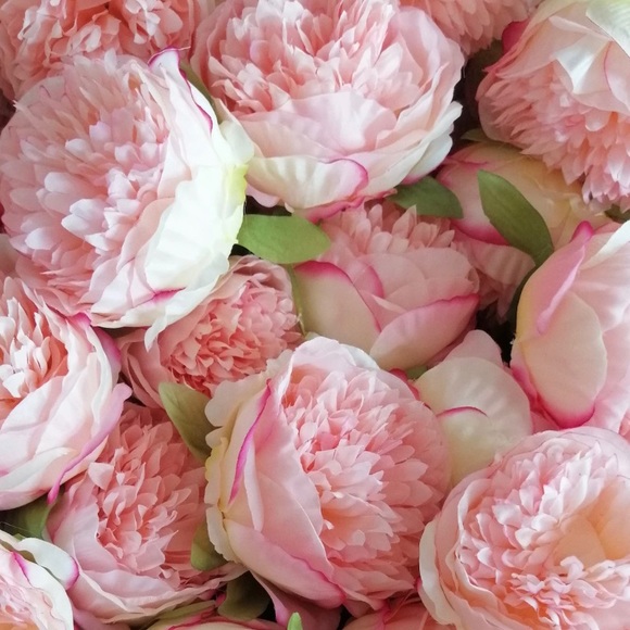 pink_peonies44